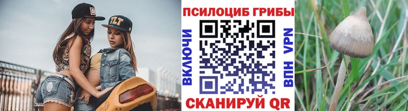 Псилоцибиновые грибы Psilocybine cubensis  Верхнеуральск 